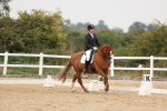 SBM_01555