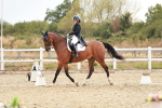 SBM_006853