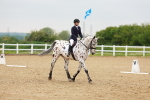 SBM_005933