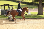 SBM_49376