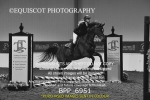 BPP_6951