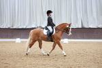 SBM_002165