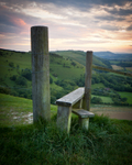 Along the Downs