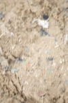 SBM_004816