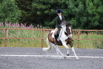 SIAL7824