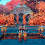 The Pond