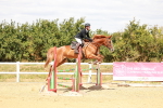 SBM_006530