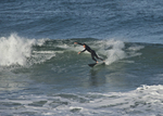 DSC_0802
