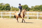 SBM_000733