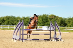 SBM_002824