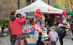 Liberation Day 2015-92