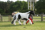 SBM_10621