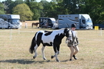 WJ6_7227