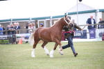 SBM_09828