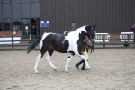 SBM_008039