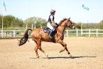 SBM_002601