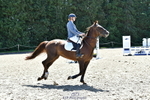 Cls 25 British Novice 90 Open portfolio