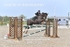 BPP_7392