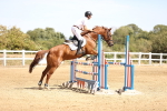 SBM_000957