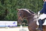 260731A-125142-00727