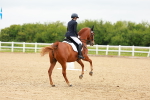 SBM_006791