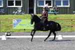 SIAL0732