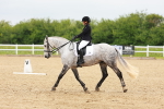 SBM_005798