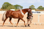 SBM_12009