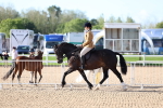 SBM_08908