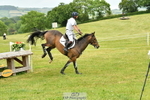 C-205-Harry.Meade-IF.IN.DOUBT portfolio