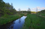 Białowieża, Poland