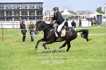 BPP_8847