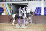 SBM_000649