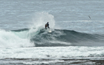 DSC_5378