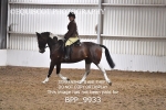BPP_9933