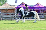 SBM_12149