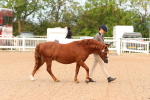 SBM_16538