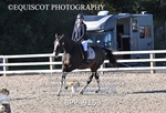 BPP_9153