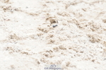 250420A-140126-01073