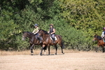 WJ6_7841