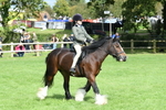 SBM_46908