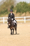 SBM_009050