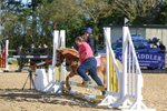 Class 1A: 40cm Lead rein portfolio