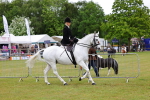SBM_02726