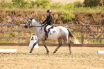 SBM_000449