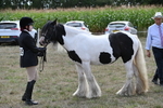 WJ6_6641