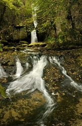 Freshwater 1 portfolio