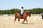 SBM_011797