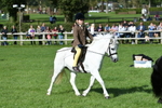 SBM_50288