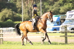 SBM_10714